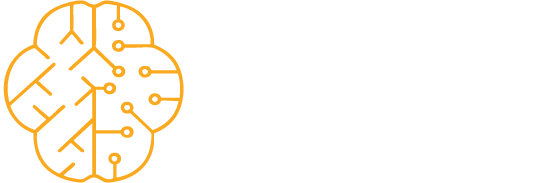 PROPEL SOFTWARES INC